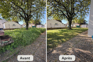Photo de galerie - Tonte et débroussaillage chez une cliente photo avant après