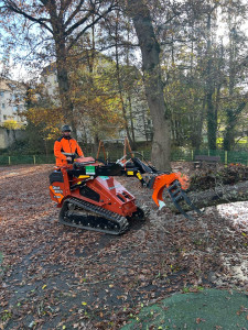 Photo de galerie - évacuation du bois chantier abattage d’arbres