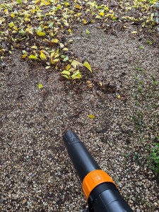 Photo de galerie - Jardinier