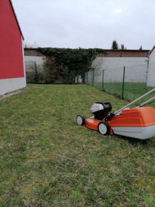 Photo de galerie - Tonte de pelouse 