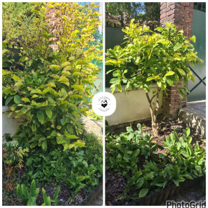 Photo de galerie - Paysagiste - Aménagement du jardin