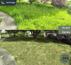 Photo de galerie - Tonte de pelouse - Débroussaillage