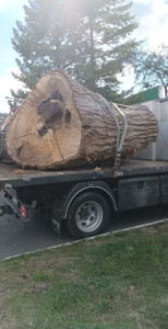 Photo de galerie - Évacuation déchets - Gravats