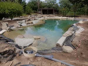 Photo de galerie - Paysagiste - Aménagement du jardin