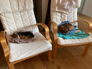 Photo de galerie - Moment de repos apres une petite ballade. 