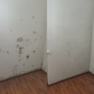 Photo de galerie - Avant après uniquement avec produits naturels