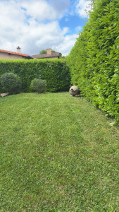 Photo de galerie - ✨