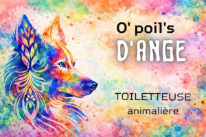 Photo de galerie - Toiletteuse animalière à Saint-Briac