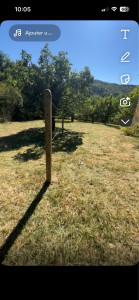 Photo de galerie - Débroussaillage