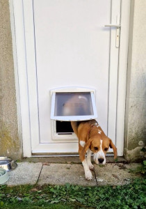 Photo de galerie - Mise en place chatière dans porte PVC pour …. un chien.