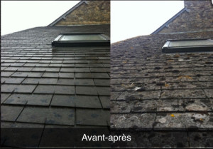 Photo de galerie - Nettoyage toiture 