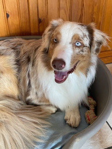 Photo de galerie - Urban 1 an 11.09.24