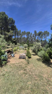 Photo de galerie - APRÈS - fin de débroussaillage de la deuxième partie du terrain de notre cliente ! 