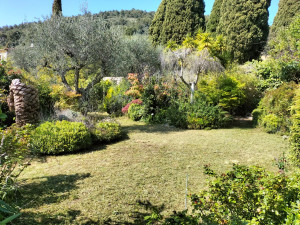 Photo de galerie - Tonte de pelouse - Débroussaillage