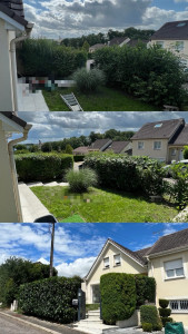 Photo de galerie - Taille de haies et d'arbustes