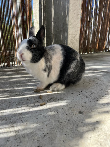 Photo de galerie - Fiona 8 ans 