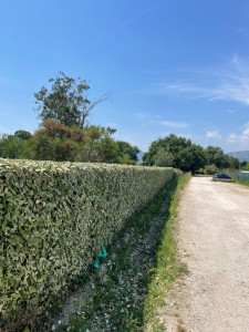 Photo de galerie - Jardinier