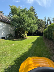 Photo de galerie - Tonte de pelouse 