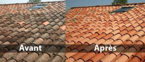 Photo de galerie - Nettoyage de toiture