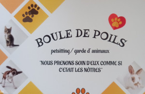 Photo de galerie - Petsitting chats, chiens et autres animaux domestiques et home sitting. 

tarif a voir sur rdv. merci 