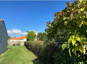 Photo de galerie - Taille de haies et d'arbustes