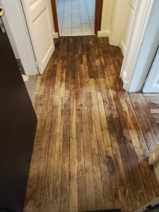 Photo de galerie - Nettoyage fim chantier