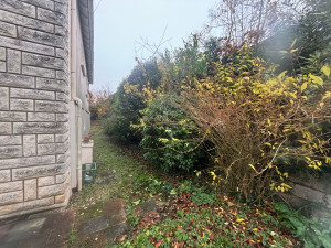 Photo de galerie - Jardin laisse depuis quelque mois 