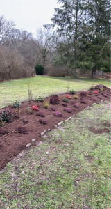 Photo de galerie - Paysagiste - Aménagement du jardin