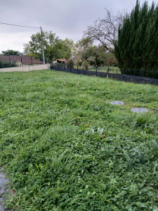 Photo de galerie - Tonte de pelouse - Débroussaillage