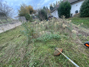 Photo de galerie - Tonte de pelouse - Débroussaillage