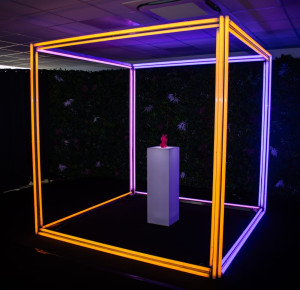 Photo de galerie - Création de structures FULL LED RGB