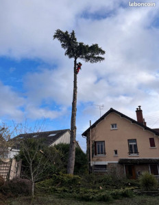 Photo de galerie - Entretien tout hauteur