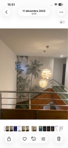Photo de galerie - Pose de panoramique ( papier peints ) 