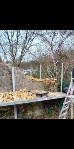 Photo de galerie - Tête de mur