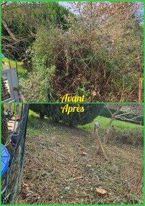 Photo de galerie - Tonte de pelouse - Débroussaillage
