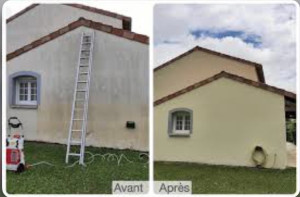 Photo de galerie - Nettoyage pignon 