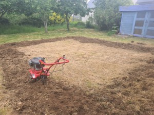 Photo de galerie - Motobineuse