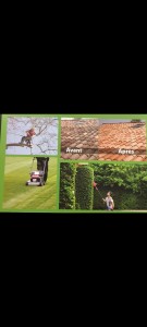 Photo de galerie - Taille de haies et d'arbustes