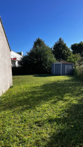 Photo de galerie - Cette pelouse n'avait pas été entretenue depuis plus d'un an