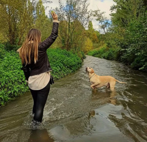 Photo de galerie - La Bièvre 