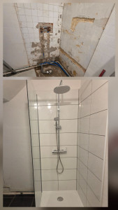 Photo de galerie - Rénovation SDB.