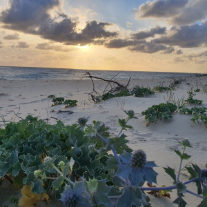 Photo de galerie - Je me propose de venir vous cherchez le linge à repasser et de vous le redeposer ?