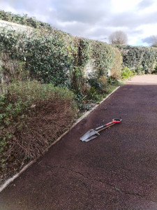 Photo de galerie - Taille