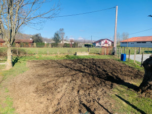 Photo de galerie - Deuxième labourage avec apport de fumier 