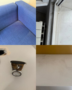 Photo de galerie - Ménage