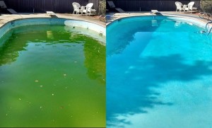 Photo de galerie - Autre piscine saturée en stabilisant taux >mal hivernée, 
Avant & après intervention ! 