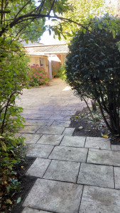 Photo de galerie - Taillage 