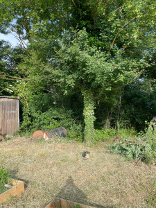 Photo de galerie - Paysagiste - Aménagement du jardin