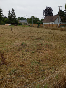 Photo de galerie - Fin du gros débroussaillage 