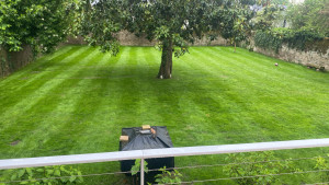 Photo de galerie - .